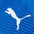 Camisa Goleiro Palmeiras 2023 - Puma Torcedor na internet