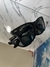 Wayfarer Liteforce 4195 601S/9A Negro mate/verde - tienda online