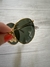ROUND METAL 3532 001 FOLDING - comprar online