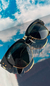 Mega Clubmaster 0316S 901/31 Negro-dorado/verde - comprar online