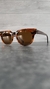 Wayfarer Meteor 2168 954/33 Lighting Carey/marron - tienda online