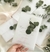 Convite minimalista vegetal e eucalipto - comprar online