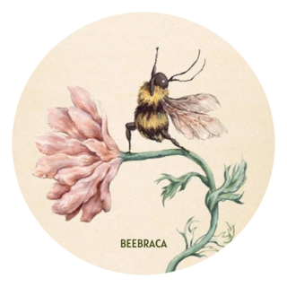 Beebraca