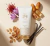 Loção Hidratante Desodorante Botica 214 Arabian Oasis - comprar online