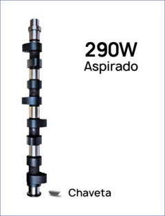 290W-e AP Especial