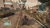 Defiance na internet
