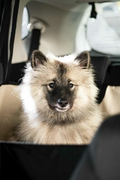 Capa Pet Protetora para banco do carro Bege Mescla Lisato.