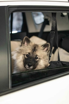Capa Pet Protetora para banco do carro Bege Mescla Lisato. - Patas e Atos 