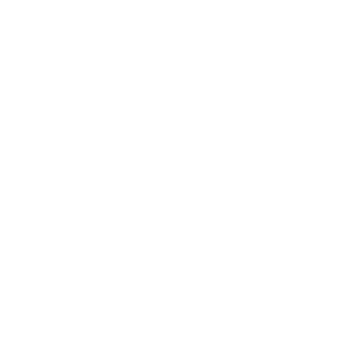 Hockey Soul
