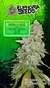 Euphoria Seeds Gorilla Glue Auto x 3 - comprar online