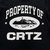 Corteiz Property of crtz na internet