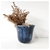 Vaso Tulipa Azul - Baku Cerâmica Artesanal