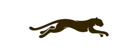 Leopardo Store