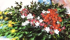 Quadro Flores - Cenário Janela com vasos de plantas