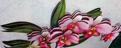 Quadro Flores - Orquídeas Cor de rosa na internet