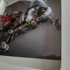 Quadro Personagens - Caçador (Jogo PS5 - Destiny) - comprar online