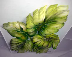 Quadro Flores - Folhas Costela de Adão - comprar online