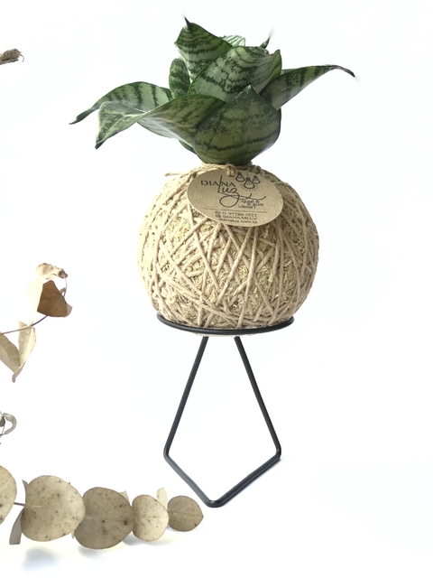 KOKEDAMA DE MINI ESPADA DE SÃO JORGE COM SUPORTE ARAMADO INCLUSO, ESCOLHA A COR DA LINHA DA KOKEDAMA