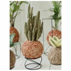 A kokedama de cacto estrela é perfeita para ambientes externos.