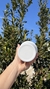 Vaso térmico con tapa a presión anti derrame PARA PERSONALIZAR en internet