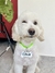 Chapitas para mascota personalizada - comprar online
