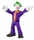 DC "SUPER FRINDS JOKER" en internet
