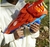 HASBRO "LANZADOR NERF JUNIOR WILD LIONFURY" - LALO´S SHOP