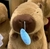 PELUCHE "CAPIBARA DE CARPINCHO CON MOCO" 38CM en internet