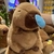 PELUCHE "CAPIBARA DE CARPINCHO CON MOCO" 38CM - LALO´S SHOP