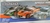 CARRO CON CONTROL REMOTO "SPEED RACE" - LALO´S SHOP
