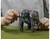 TRANSFOPRMERS " OPTIMUS PRIMAL"