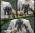 Imagen de TRANSFOPRMERS " OPTIMUS PRIMAL"