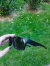 Twoface All Black Polarized - BemTrajado SurfStore 032