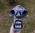 Penny Xmetal Lentes Violet - comprar online