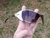 Dart Gold Lentes Marrom Escura