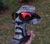Plate Black Icon e Lentes Ruby