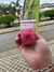 Esponja de maquiagem - Anac.cosmeticos_