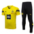 Conjunto Do Borussia Dortmund