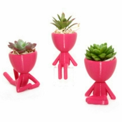 Imagem do Kit com 3 Vasos Decorativos Robert Plant