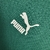 Camisa Palmeiras - comprar online