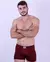 CUECA BOX ADULTA RARHOMO (PREMIUM) - comprar online