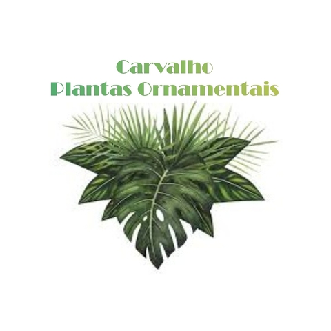 Carvalho Plantas Ornamentais