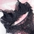 CONJUNTO LIZ 2 - PRETO