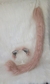Kit Completo gatito Rosa Pastel - Dime Miau