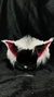 Mini kit zorro Orejas+ Garritas - comprar online