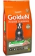 Golden Power Training 15kg