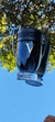 Invictus Victory Paco Rabannne 100ml