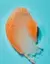 Esfoliante Corporal Tree Hut Peach Sorbet - 510gr - Ginger Imports