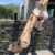 Banner de Sofiashoelovers Zapatos