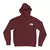 Blusa Moletom The North Face com Capuz - loja online